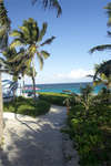 Pink Sands Resort 